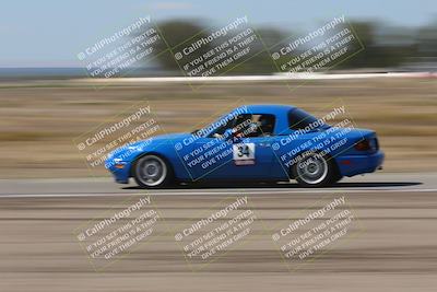 media/Oct-04-2025-OnGrid (Sat) [[44bd565ffa]]/Purple Group/Grapevine/